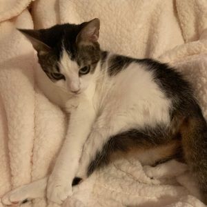 Meet your Posher, Katherine